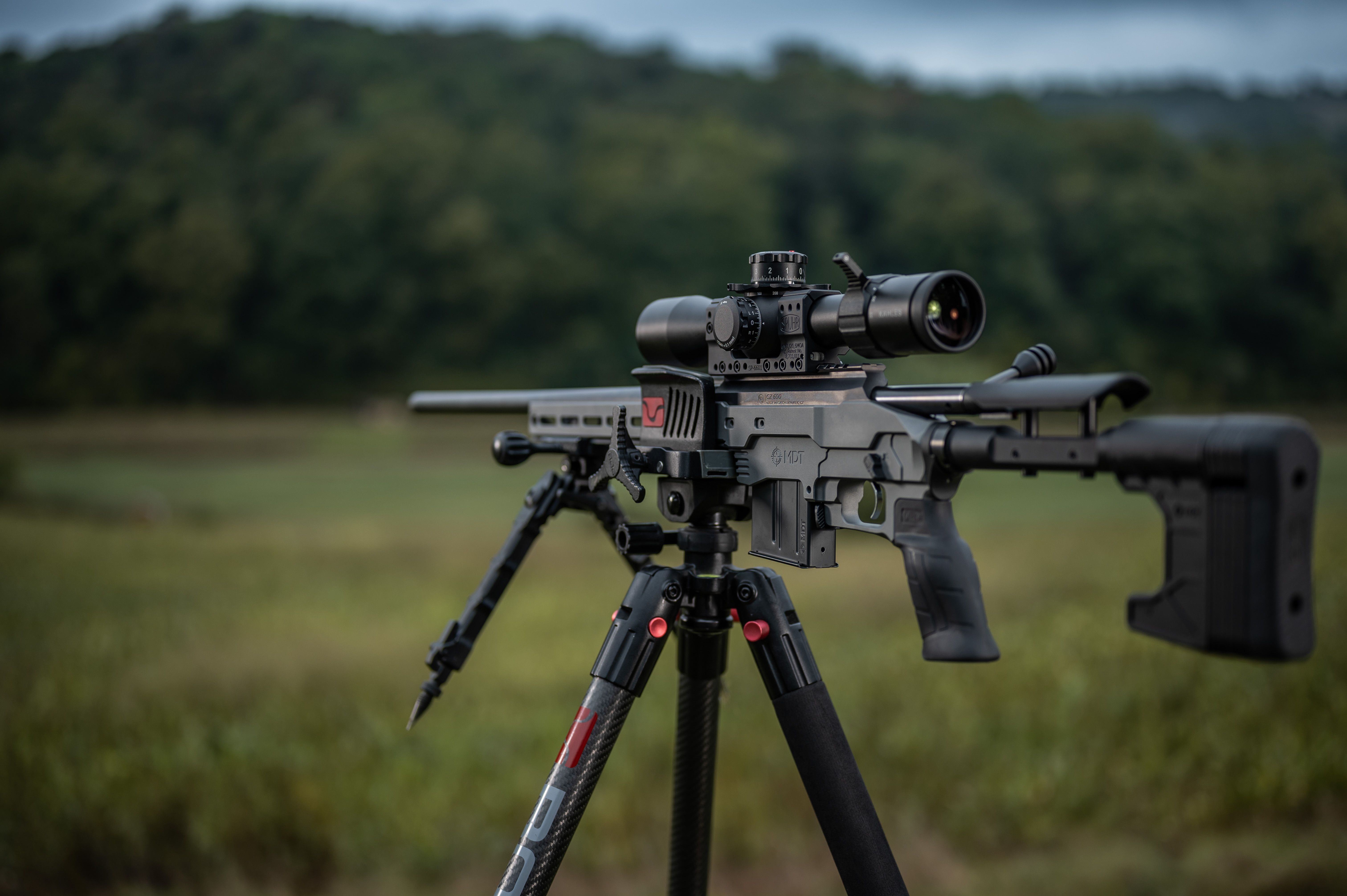 CZ Accessibility Statement