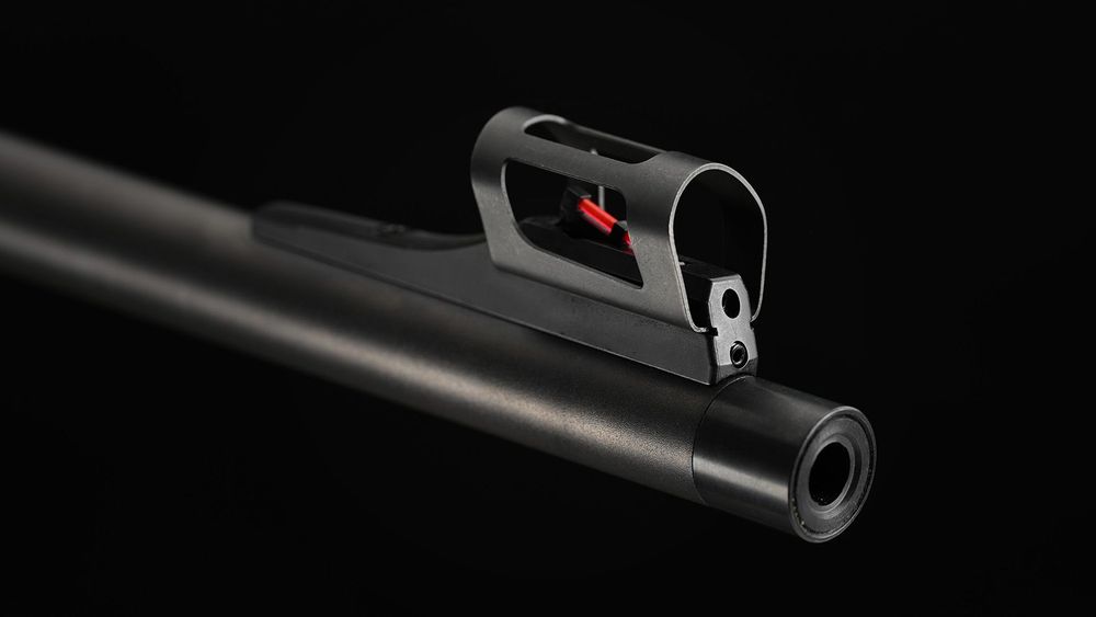 Removable, fully adjustable iron sights with fiber optic rods